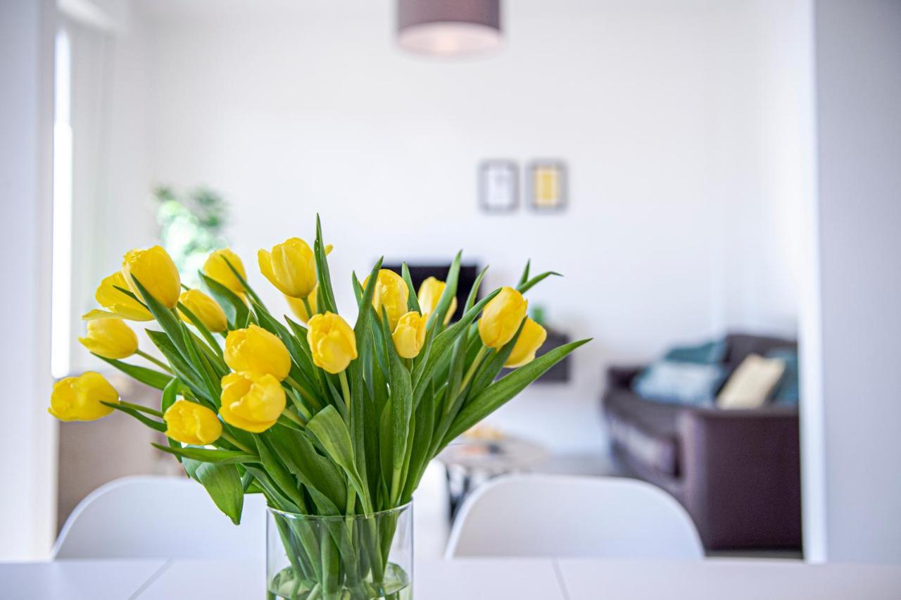 San Frediano Jewel Apartment Флоренция Екстериор снимка